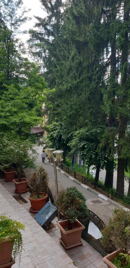 Rosa Villa Baile Olanesti Bagian luar foto