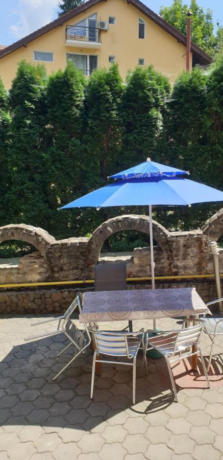 Rosa Villa Baile Olanesti Bagian luar foto