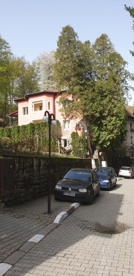 Rosa Villa Baile Olanesti Bagian luar foto
